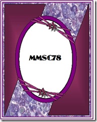MMSC78 FANCY