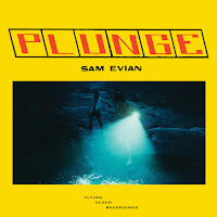 New Album Releases: PLUNGE (Sam Evian)