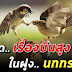 อย่าพูดเรื่องบินสูงในฝูงนกเล็ก คิดจะไปให้ไกลกว่าเดิมต้องอ่าน