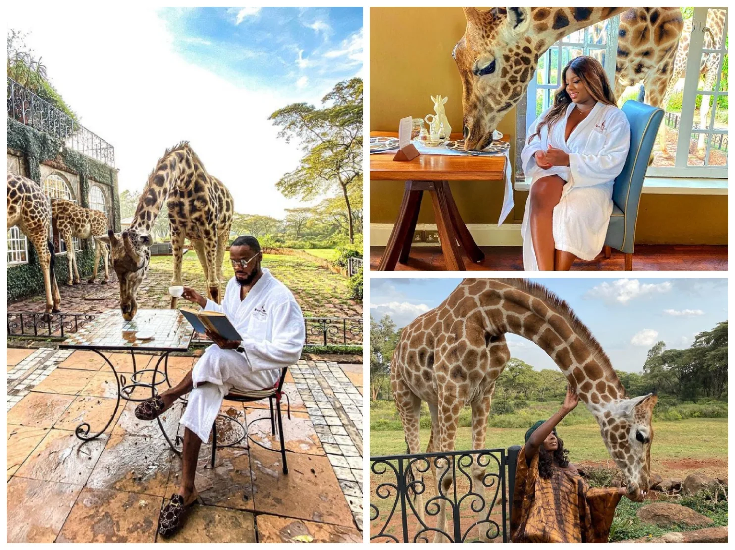 Check Out Lovely Pictures of BBNaija Tolanibaj, Prince And Dorathy Spending Time With Giraffes