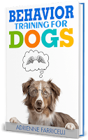 Brain Training for Dogs