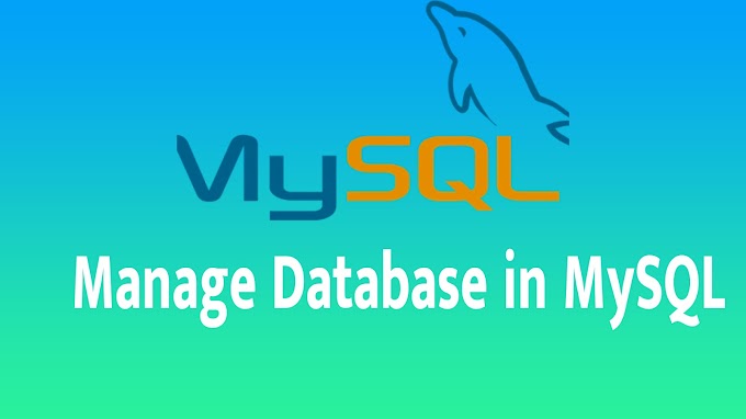 Manage Database in MySQL