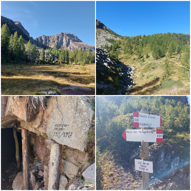 col margherita e forcella juribrutto san pellegrino