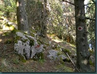 DSCN8765