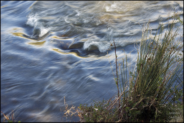 fotografía, naturaleza, RíoTúria, Valencia, Manises, agua, movimiento