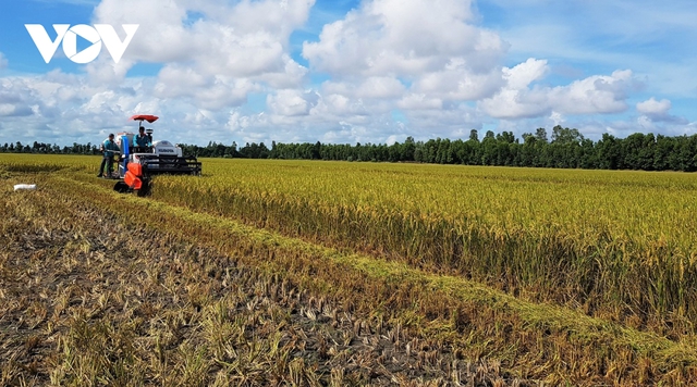 Áp lực giá phân bón phi mã - Ảnh 4.