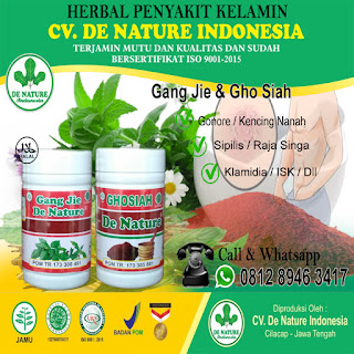 5 Nama Nama Obat Sipilis Alami Di Apotik Yg Paling Manjur