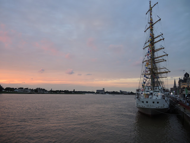 Antwerpen - grote schepen in de Schelde - de Tall Ships Race editie 2016