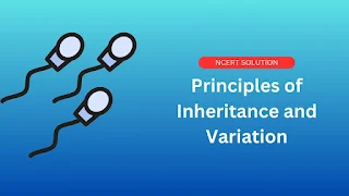 Principles of Inheritance and Variation