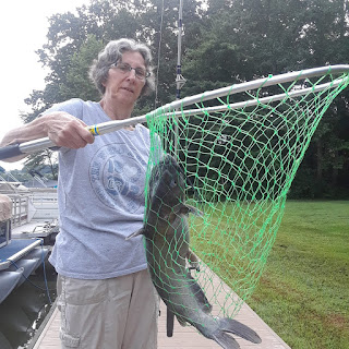 Woman holds a net with a large catfish in it