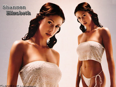 Hottest Shannon Elizabeth Wallpaper