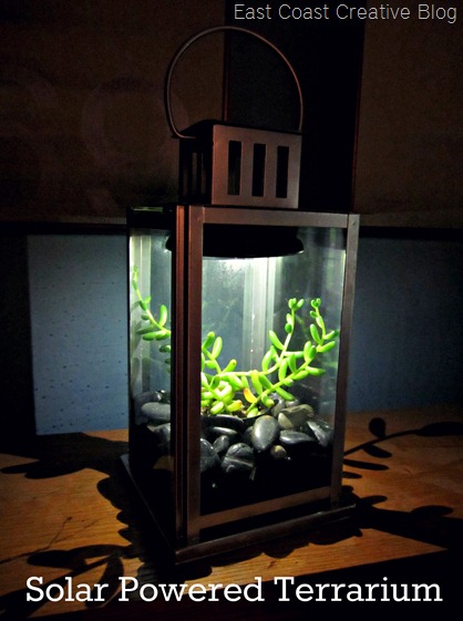 Solar Terrarium Tutorial
