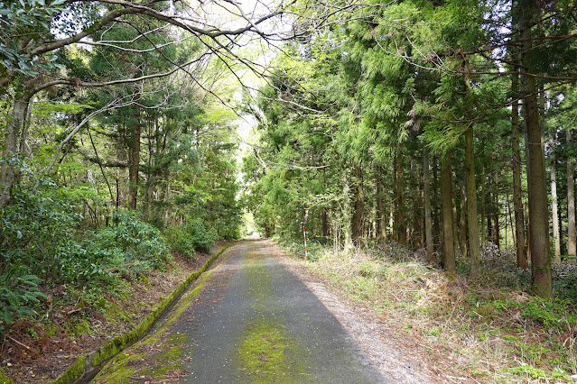 鳥取県西伯郡伯耆町丸山 丸山集落の奥の森道