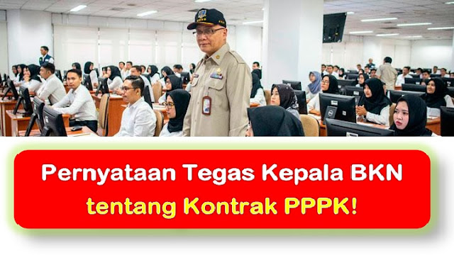 Kepala BKN | Simak Dengan Baik Pernyataan Tegas Kepala BKN tentang Kontrak PPPK!