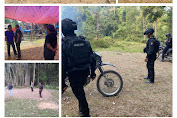Dalam Sehari, Polisi Ubrak Abrik Praktek Judi Sabung Ayam di 4 Lokasi Toraja Utara 