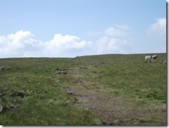 DSCF5254