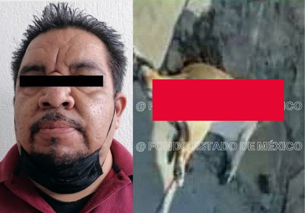 URGENTE: Golpeó con una piedra a perro en la calle hasta que lo mató en Ecatepec; hoy enfrenta a la ley