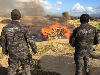 INCINERA PGR CASI TRES TONELADAS DE NARCÓTICOS EN EL PUERTO DE ENSENADA