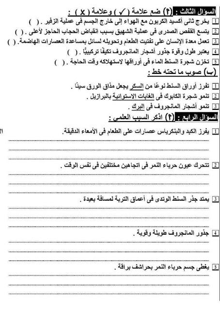 امتحانات علوم و ساينس  للصف الرابع الإبتدائي للدروس الأولى منهج أكتوبر 2024 8