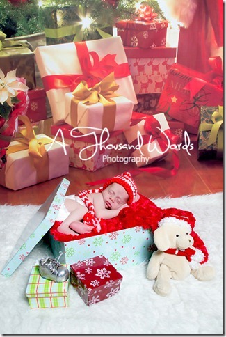 atwPhotography-10