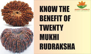 Know The Benefit Of Twenty Mukhi Rudraksha