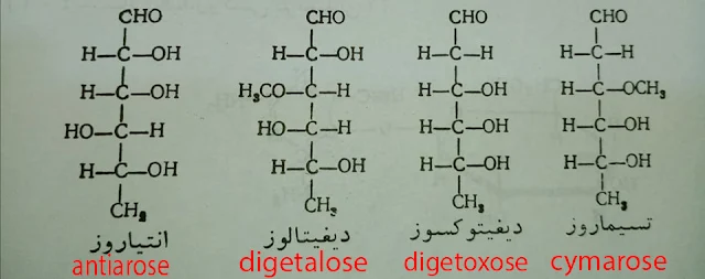 التسيماروزcymarose وَ الديغيتوكسوز digetoxose وَ ديغيتالوزdigetalose وَ انتياروز antiarose