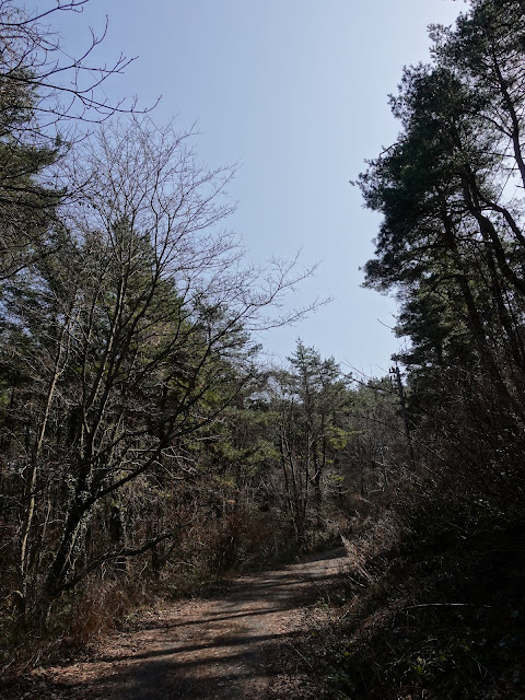 孝霊山　電波塔の山の管理用道路を降りる