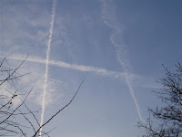 scie chimiche italia