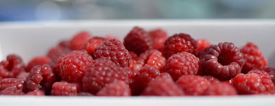 image of red raspberries in white basket