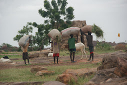 Pays du dogon_Mali