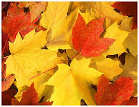 Autumn Leaves Decorations3