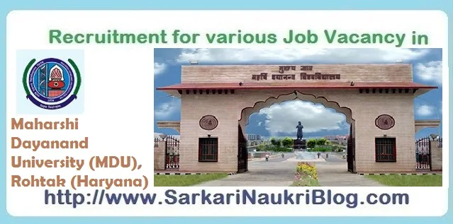 Naukri Vacancy Recruitment MDU Rohtak Haryana