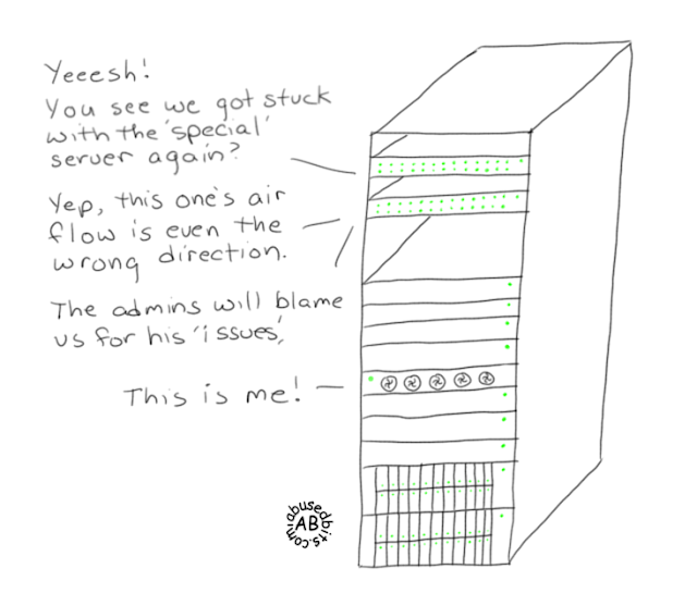 The 'special' server