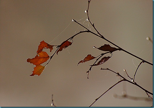 päivä 026