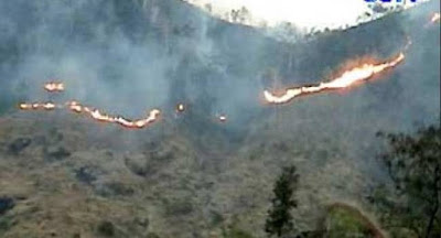 Kebakaran hutan lereng gunung lawu