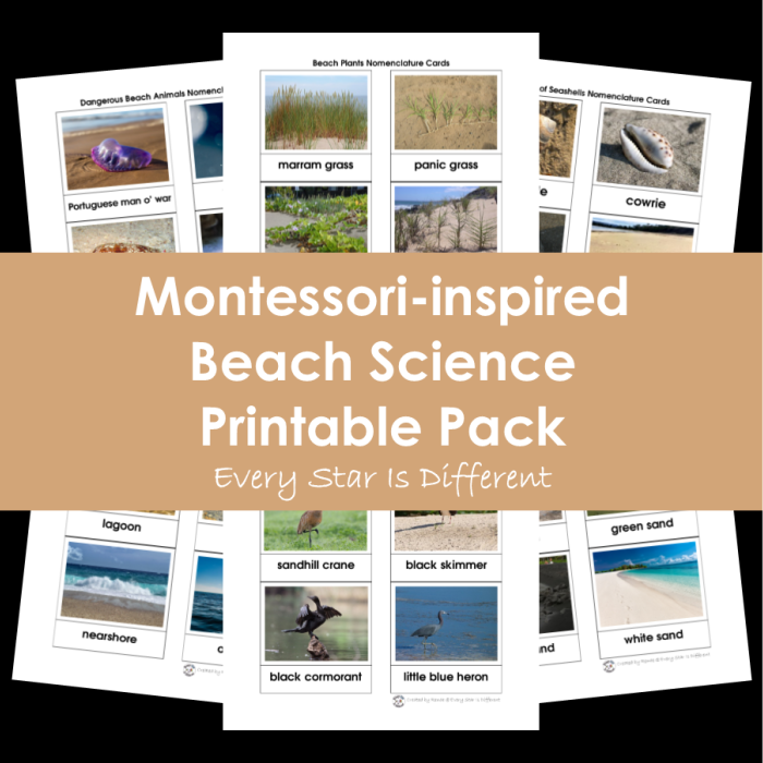 Montessori-inspired Beach Science Printable Pack
