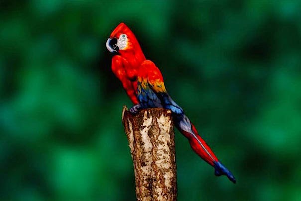 amazing pictures, incredible art of Johannes Stoetter, parrot painting on body Johannes Stoetter