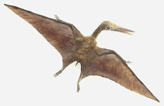 Pterosaurs in picture pic photo image gallery in nature phenomena picture