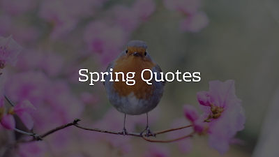 Spring Quotes - Brain Hack Quotes