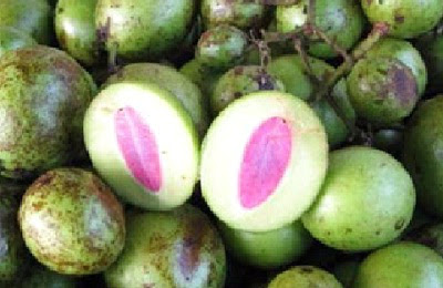 Health Benefits of Gandaria Fruits