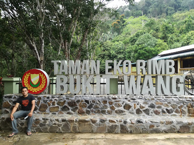 Hutan lipur bukit wang