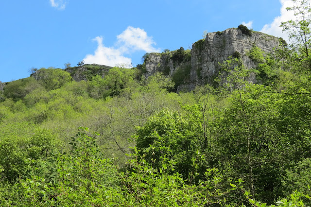 A line of cliffs against blue skies with woods below them.