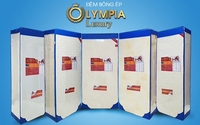 Đệm bông ép Olympia Luxury gấm xốp