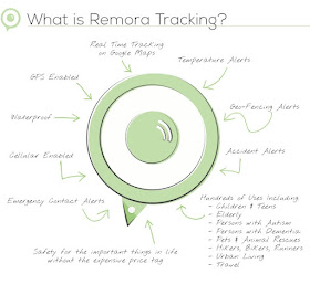 remora-tracking1