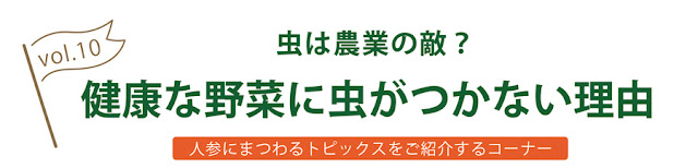 健康な野菜に虫がつかない理由　ロハスプラザの人参通信