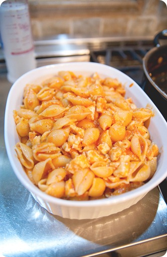 chixparmbake5