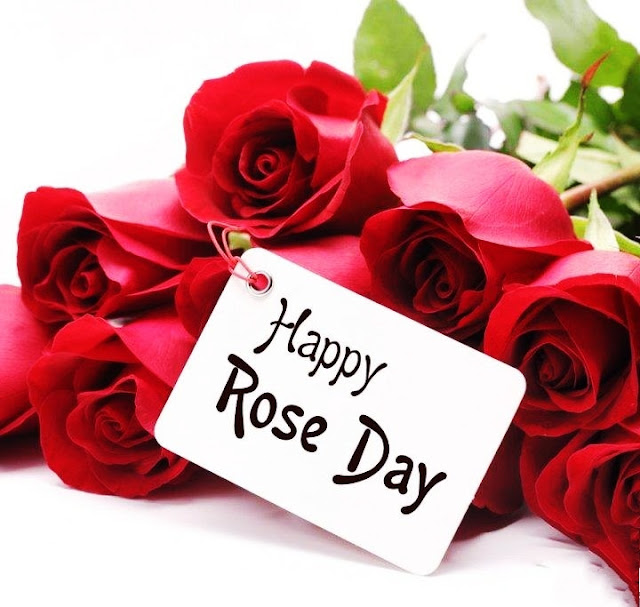 Happy Rose Day Images