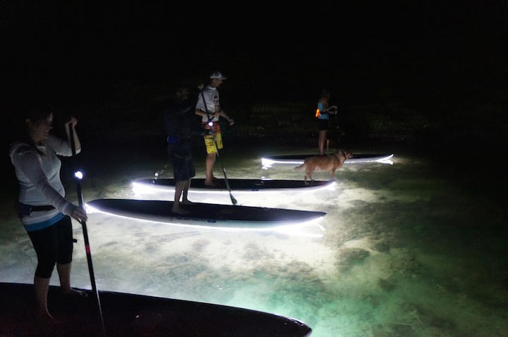 Innovadoras tablas de paddle con luces LED ofrecen vistas increíbles del mar nocturno