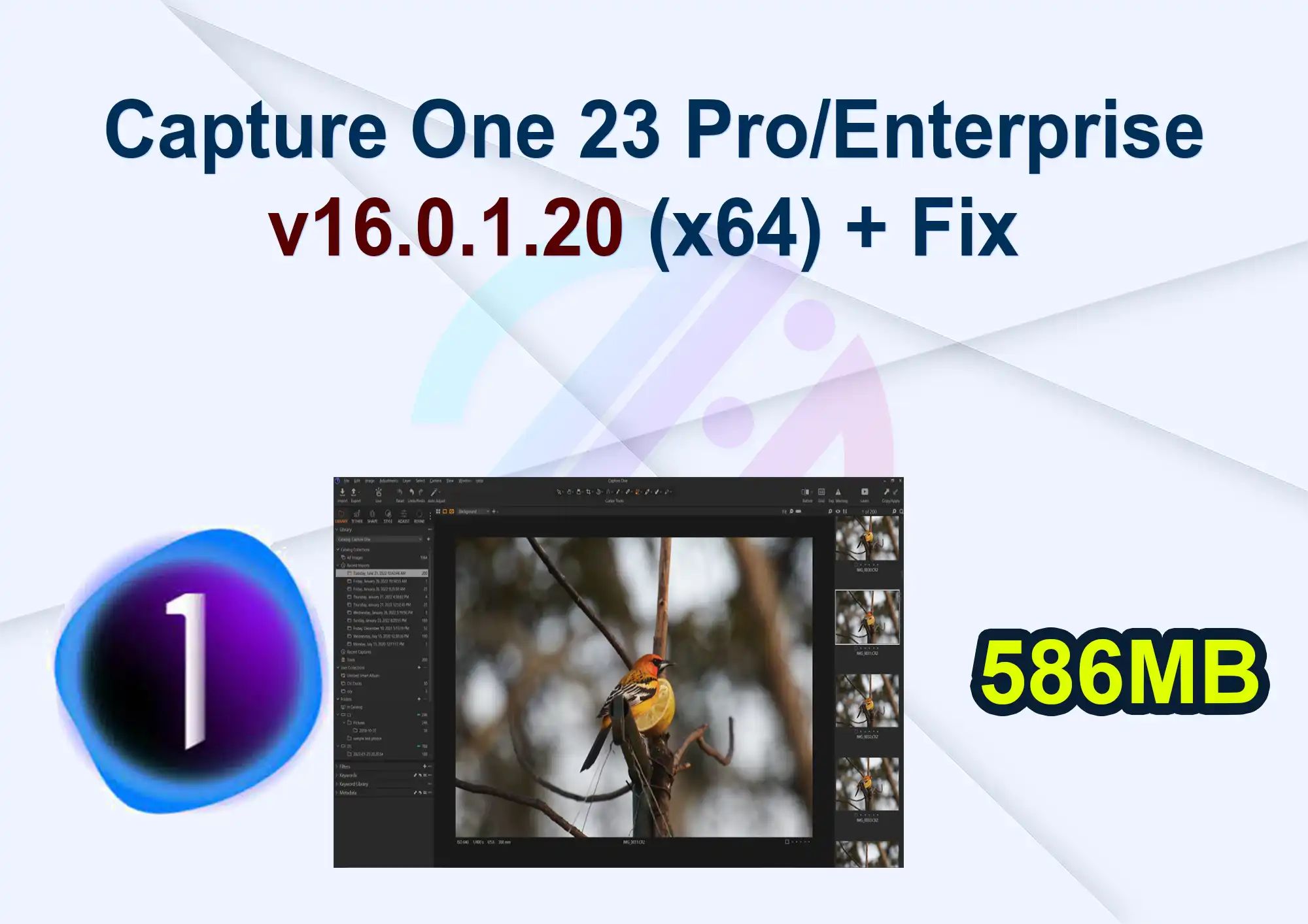 Capture One 23 Pro/Enterprise v16.0.1.20 (x64) + Fix 