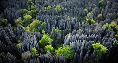 Hutan Batu Terbesar Di Dunia Tsingy [ www.BlogApaAja.com ]